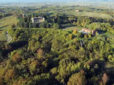 Premariacco 25 Febbraio 2016. Zona boschiva sotto la Rocca Bernarda. Foto Petrussi