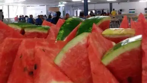 Le angurie distribuite in mensa a Susegana ai dipendenti dello stabilimento