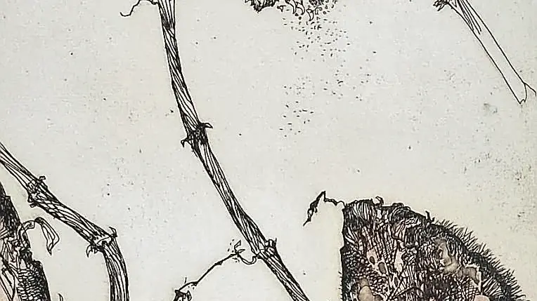 Una delle opere di Zigaina esposte alla Stamperia d’arte Albicocco