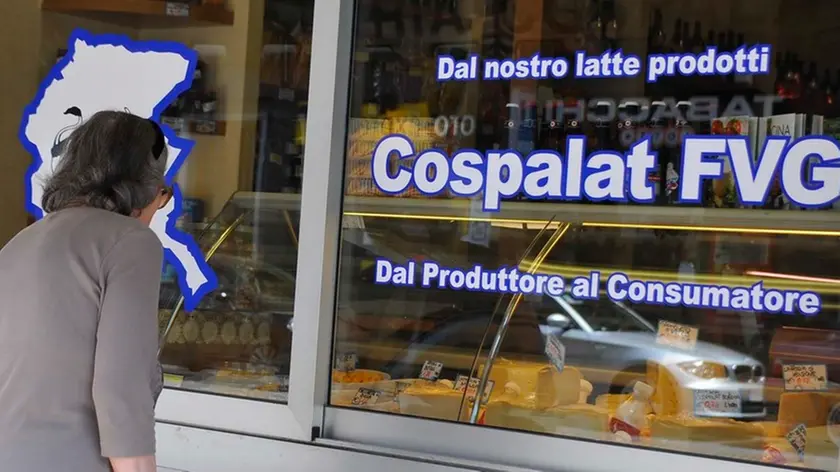 Udine 21 Giugno 2013. Spaccio Cospalat. Copyright Petrussi Foto Press / Diego Petrussi