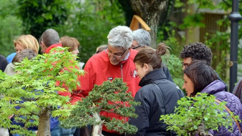 Horti Tergestini