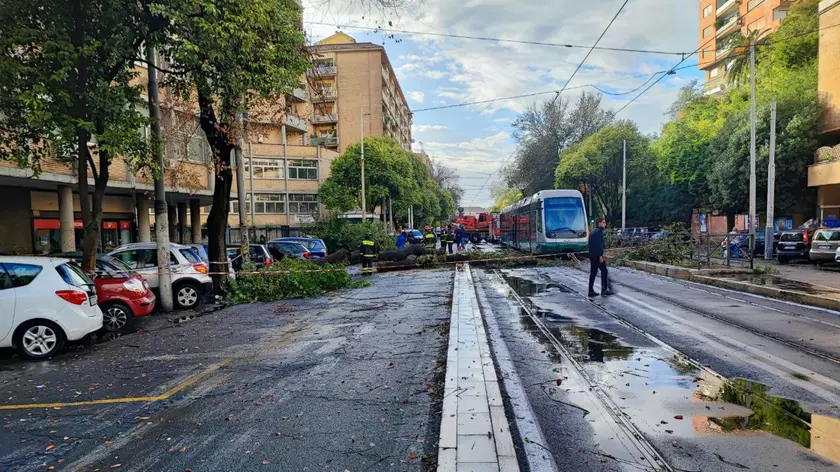 A causa della caduta di un albero, che ha danneggiato la rete aerea all'altezza di via Pascarella, la linea 8 è momentaneamente sostituita da bus nel tratto fra Piazza Venezia e Stazione Trastevere, Roma, 05 novembre 2023. Al momento i tecnici dell'azienda sono sul posto e stanno attendendo che i vigili del fuoco, intervenuti per rimuovere i rami, completino l'intervento per ripristinare la funzionalità della linea. ANSA/ALESSIO TARALLETTO