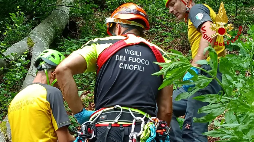 Le ricerche erano scattate nella mattinata di martedì 18 luglio dopo la segnalazione dei familiari