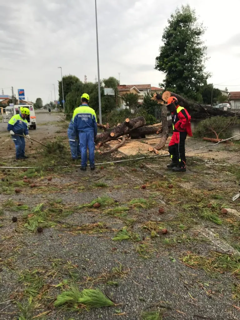 Ingentissimi i danni riportati da Latisana e a Latisanotta. A fare un primo bilancio è sindaco Lanfranco Sette che ha così commentato il maltempo che nella notte tra mercoledì e giovedì si è abbattuto sulla Bassa colpendo in particolar modo la zona di Latisana. Al momento, come riporta il primo cittadino, Via Roma e Via Gaspari si presentano con molti alberi divelti dal parco Gaspari. La situazione peggiore si registra però in via Trieste dove numerose abitazioni sono state scoperchiate e si sono riempite d’acqua. In un caso un tetto è letteralmente volato via planando su alcune auto parcheggiate. La protezione civile è al lavoro con i vigili del fuoco e verranno utilizzati anche i macchinari del Comune per rimuovere i detriti e gli alberi”. Il sindaco raccomanda di evitare, per ora le arterie principali della città. Qui la situazione aggiornata