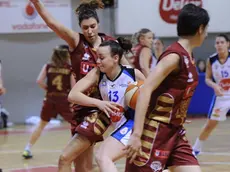 Udine 10 Marzo 2013. Basket. Delser Udine - Umana Venezia. Telefoto copyright Petrussi Foto Press / Diego Petrussi