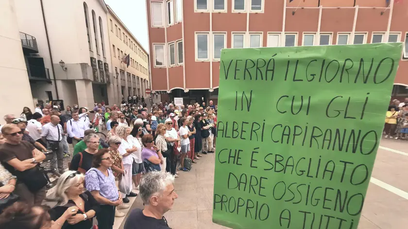 La protesta contro l'abbattimento degli alberi di fronte al municipio di Pordenone