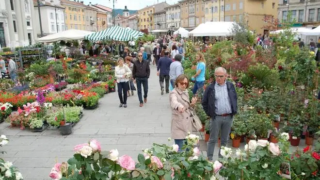 Bumbaca Gorizia 12.05.2013 Gorizia in fiore mercatini Piazza Vittoria - Fotografia di Pierluigi Bumbaca