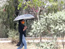 epa09957281 A woman walks with her umbrella to avoid the heatwave during a hot afternoon on the outskirts of New Delhi, India, 19 May 2022. According to the India Meteorological Department (IMD), Delhi and National Capital Region's temperature is expected to exceed 43 degrees Celsius amid a heat wave which is continuing with its fresh spell. EPA/HARISH TYAGI