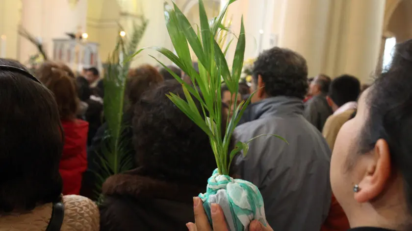 I fedeli radunati nella cattedrale di Bogota' pregano oggi 17 aprile 2011 durante le celebrazioni della domenica delle Palme. ANSA/LUCIANO DEL CASTILLO
