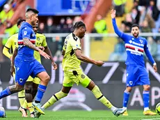 Serie A 2022/23 | Sampdoria-Udinese Gol Udinese (0-1): Kingsley Osezele Ehizibue
