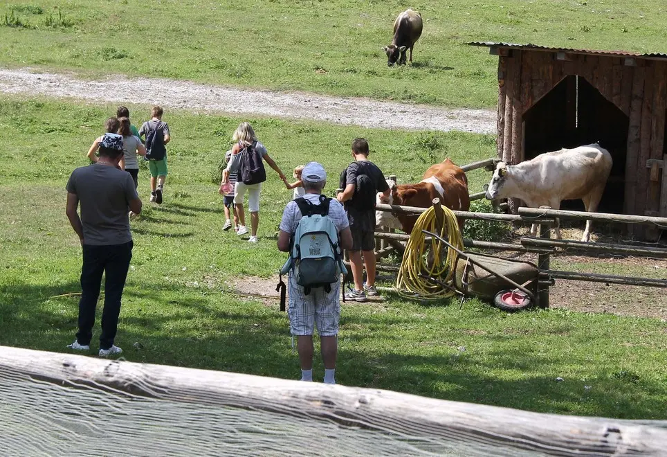Dogna 5 Agosto 2017. Visita alla Malga di Plan di Spadovai. © Foto Petrussi -Soravito