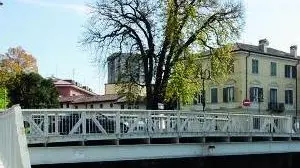 ANTEPRIMA varie cervignano