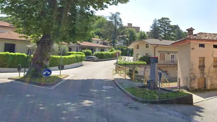 Il gatto è scomparso il 18 giugno da via Tarcentina a Buja