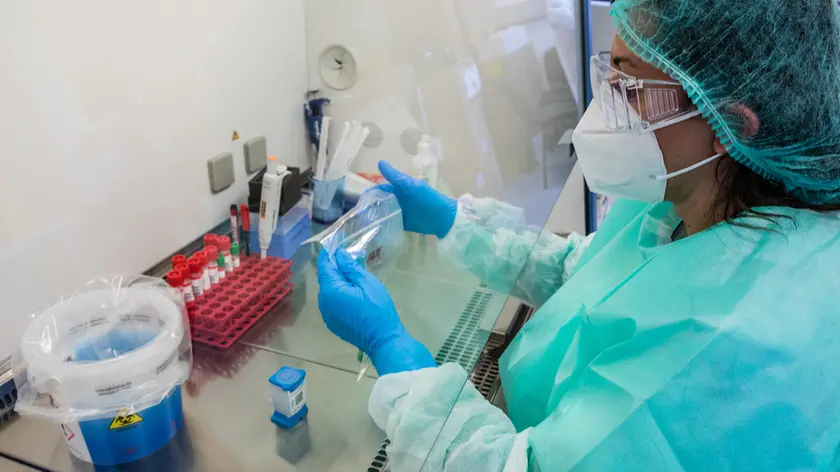 De Wolanski Treviso Ca' Foncello Laboratorio Analisi