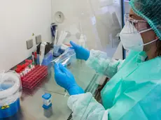 De Wolanski Treviso Ca' Foncello Laboratorio Analisi