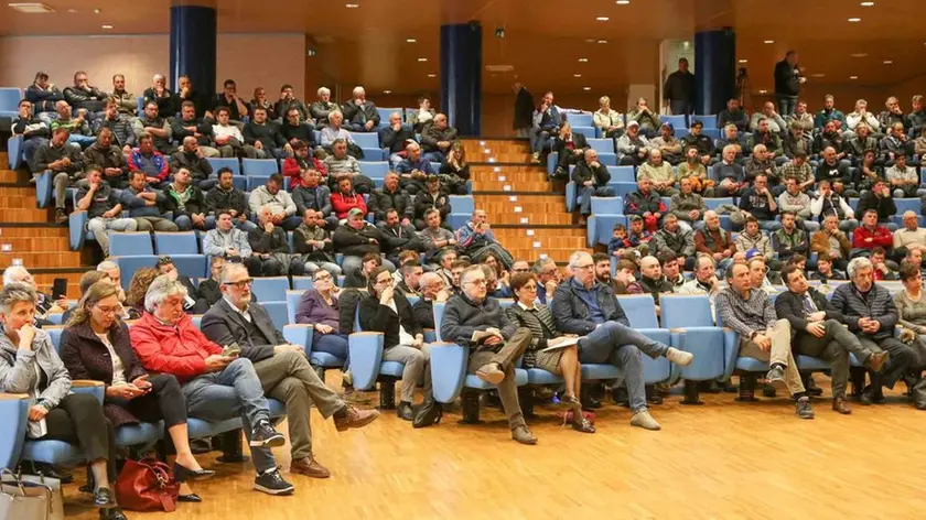 Udiine 6 Aprile 2019. Incontro protesta agricoltori con trattori. © Foto Petrussi