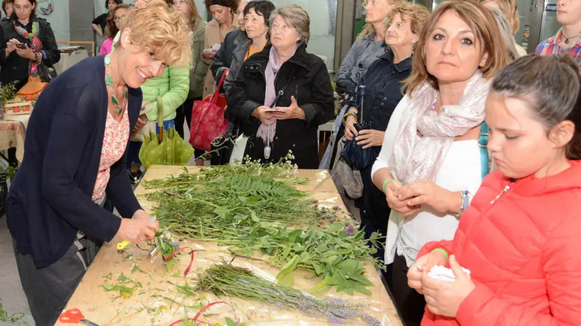 Udine 23 Giugno 2015 il mazzetto di san giovanni Foto Press TURCO MASSIMO