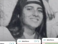 I messaggi, secondo quanto riportato dal quotidiano Domani, tra gli ex membri di Cosea Francesca Immacolata Chaouqui e monsignor Lucio Vallejo Balda, consegnati alla Commissione bicamerale di inchiesta sulla scomparsa di Mirella Gregori ed Emanuela Orlandi