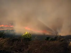 epa11545831 Thick smoke rises during a wildfire that broke out in an area of farmland and forest in Varnavas, Attica region, Greece, 11 August 2024. The forces working to extinguish the Varnavas fire include 250 firefighters with 10 teams of forest commandos, 67 vehicles and a large number of volunteers, 12 firefighting airplanes and seven helicopters in the air and one helicopter for coordination. Assistance is also being provided by digging machinery and water trucks of the Attica Region and the armed forces. Varnavas residents have been instructed to evacuate the area via a message from the 112 emergency number. EPA/ALEXANDROS BELTES