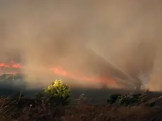 epa11545831 Thick smoke rises during a wildfire that broke out in an area of farmland and forest in Varnavas, Attica region, Greece, 11 August 2024. The forces working to extinguish the Varnavas fire include 250 firefighters with 10 teams of forest commandos, 67 vehicles and a large number of volunteers, 12 firefighting airplanes and seven helicopters in the air and one helicopter for coordination. Assistance is also being provided by digging machinery and water trucks of the Attica Region and the armed forces. Varnavas residents have been instructed to evacuate the area via a message from the 112 emergency number. EPA/ALEXANDROS BELTES
