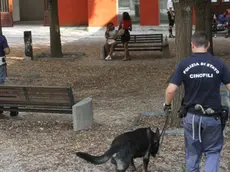 FOTO MISINATO - CONTROLLI VIA BERTOSSI