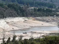 epa11273058 Extensive beaches have been formed due to the low water levels in the San Rafael reservoir in the municipality of La Calera, Colombia, 11 April 2024. The Mayor's Office of Bogota ordered water rationing, starting on 11 April, due to the low levels of the reservoirs supplying the city due to a drought aggravated by the El Nino phenomenon. The measure affects about 8 million inhabitants in numerous neighborhoods in the center and north of the capital city of Colombia, who will see their running water supply cut for 24 hours. EPA/Carlos Ortega