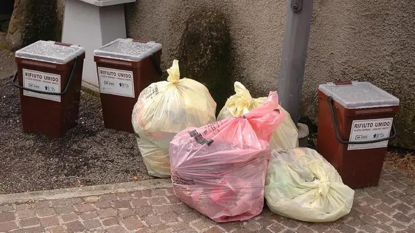 Bumbaca Gorizia Immondizie differenziata Moraro