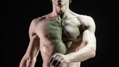 Tra gli artisti arrivati sul palco del Giovanni da Udine anche Roberto Bolle