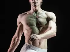 Tra gli artisti arrivati sul palco del Giovanni da Udine anche Roberto Bolle