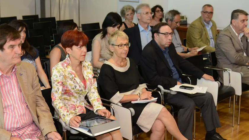Udine 7 Luglio 2016 convegno sanità Foto Petrussi Foto Press Turco Massimo
