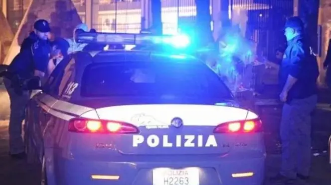 A portare avanti l’indagine sul cinquantaseienne è stata la Digos di Udine