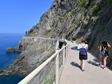 Anteprima stampa per la riapertura della Via dell'amore tra Riomaggiore e Manarola nel parco dell 5 Terre. Dal 27 luglio sarà riaperta al pubblico dei residenti nell'area parco, dal 9 agosto anche ai turisti. Oltre 2 anni e mezzo di lavori dopo le frane del 2012, che ne avevano decretato la chiusura per motivi di sicurezza. Manarola, 26 luglio 2024. ANSA/LUCA ZENNARO