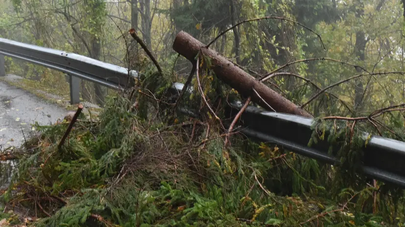 Comeglians 01 Novembre 2018 mal tempo Agenzia Petrussi foto Massimo Turco