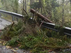 Comeglians 01 Novembre 2018 mal tempo Agenzia Petrussi foto Massimo Turco