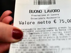 Un' immagine di un voucher, Roma, 11 gennaio 2017. ANSA / ETTORE FERRARI