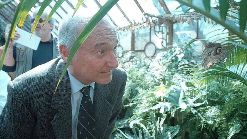 A42- 07/05/98. TRIESTE--. AMBIENTE: 2000 FARFALLE A MIRAMARE, FRA TROPICI E MITTELEUROPA. DUE SERRE ASBURGICHE OSPITANO DA OGGI, NEL PARCO DI MIRAMARE DI TRIESTE, OLTRE 2000 FARFALLE TROPICALI. ALLA CERIMONIA DI INAUGURAZIONE HA PARTECIPATO IL GIORNALISTA PIERO ANGELA (NELLA FOTO). . STERLE/. ANSA/JI