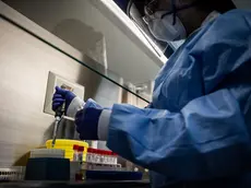 16/04/2020 Bergamo; Il laboratorio di analisi dell' Ospedale Papa Giovanni XXIII dove vengono effettuati i test sui tamponi per rilevare la presenza di Covid-19