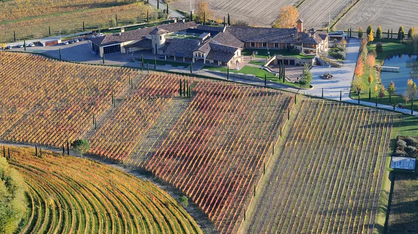 Ruttars (GO) Azienza Vitivinicola Jerman. © Foto Petrussi