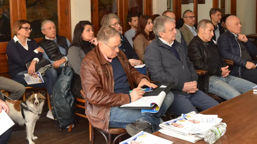 Udine 7 Aprile 2018 BERTOSSI Agenzia Petrussi foto Turco Massimo