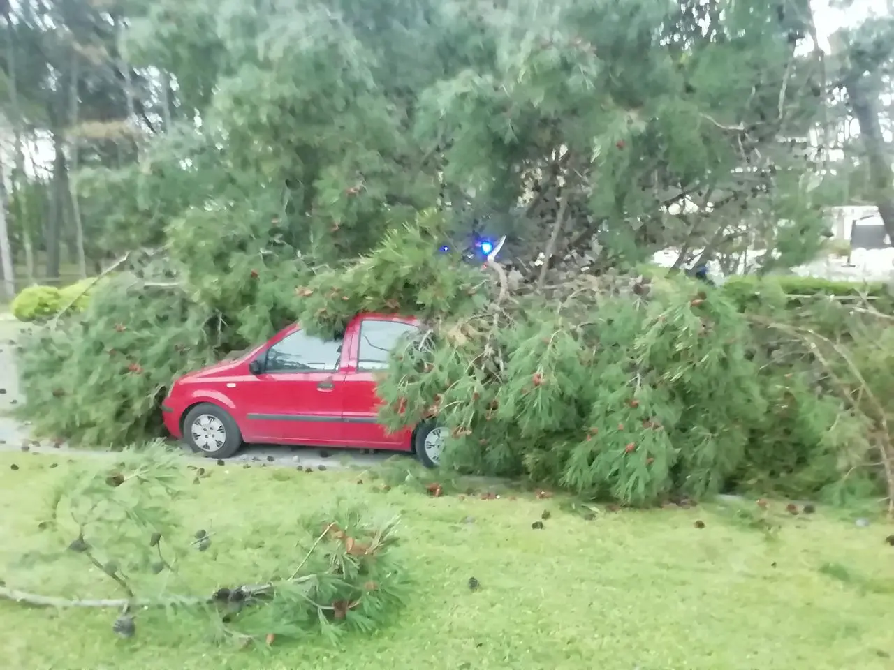 Auto travolta da un albero a Lignano