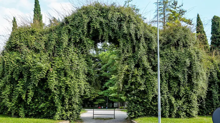 Udine 1 Ottobre 2016. arco giardini Petrussi Foto Press / Strizzolo