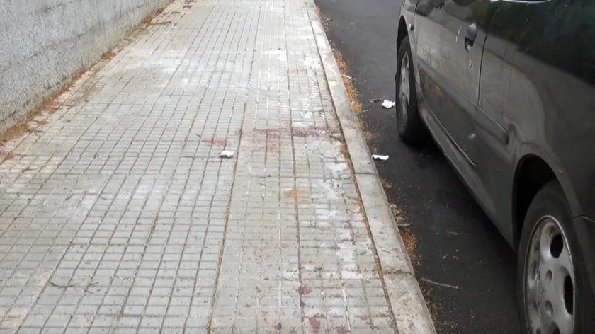 Una coltellata al cuore dopo l'ennesima lite per vecchie ruggini. Nicola Della Morte, 23 anni, nato a Chiavenna, in provincia di Sondrio, impiantista e calciatore dilettante dell'Ottava, è stato ucciso la scorsa notte nelle vicinanze del campo sportivo della borgata a pochi chilometri da Sassari. Il suo assassino, Daniele Ventriglia, 25 anni, originario di Carbonia ma residente anche lui a Ottava, è stato arrestato poche ore dopo dagli agenti della Polizia stradale, fermato sull'auto di un amico che lo aveva convinto a costituirsi e lo stava accompagnando in Questura. ANSA/GIAN MARIO SIAS