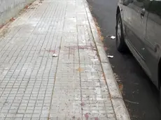 Una coltellata al cuore dopo l'ennesima lite per vecchie ruggini. Nicola Della Morte, 23 anni, nato a Chiavenna, in provincia di Sondrio, impiantista e calciatore dilettante dell'Ottava, è stato ucciso la scorsa notte nelle vicinanze del campo sportivo della borgata a pochi chilometri da Sassari. Il suo assassino, Daniele Ventriglia, 25 anni, originario di Carbonia ma residente anche lui a Ottava, è stato arrestato poche ore dopo dagli agenti della Polizia stradale, fermato sull'auto di un amico che lo aveva convinto a costituirsi e lo stava accompagnando in Questura. ANSA/GIAN MARIO SIAS