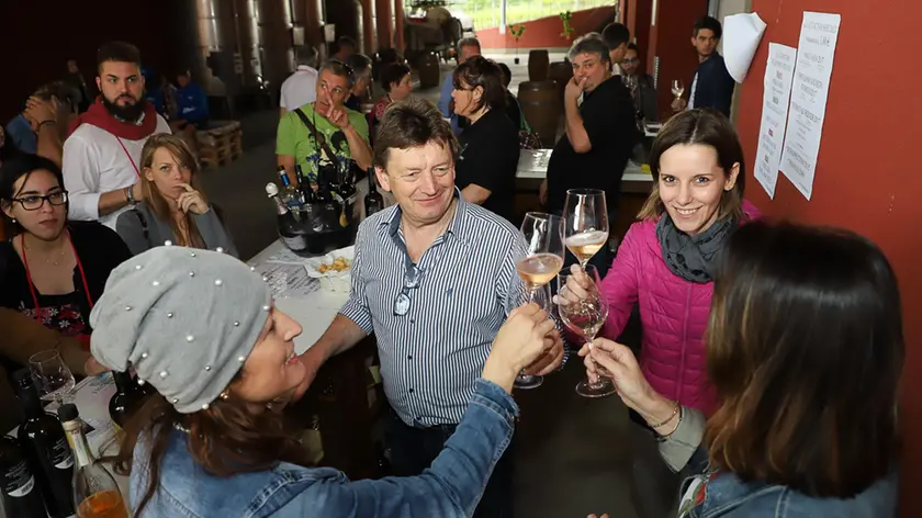 Saranno 78 le cantine, rappresentative di tutto il territorio del Friuli Venezia Giulia, pronte ad accogliere appassionati enoturisti