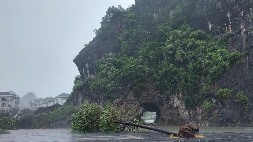epa11590858 A handout photo made available by Vietnam News Agency shows a fallen tree due to the strong winds as typhoon Yagi makes landfall, in Quang Ninh province, Vietnam, 07 September 2024. Typhoon Yagi, Asia's most powerful storm so far this year, made landfall in northern Vietnam on 07 September with wind speeds up to 149 kilometers per hour, according to the National Centre for Hydro-Meteorological Forecasting. EPA/VIETNAM NEWS AGENCY/HANDOUT VIETNAM OUTHANDOUT EDITORIAL USE ONLY/NO SALES
