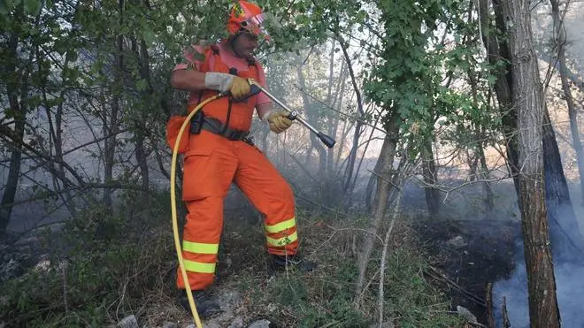 Bumbaca Gorizia 12.08.2013 Incendio Palchisce Fotografia di Pierluigi Bumbaca