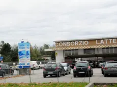 Campoformido 22 Novembre 2012 assemblea al consorzio Copyright Petrussi press Turco