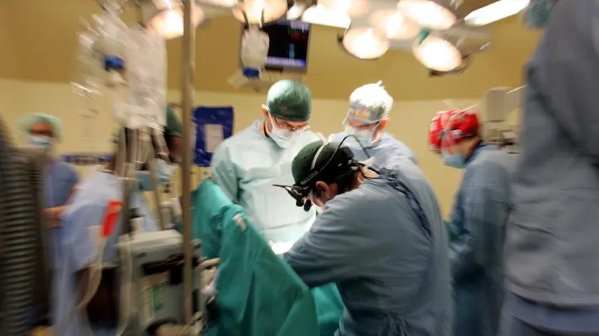 In Fvg aumentano i trapianti di organi (foto di archivio)