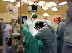 In Fvg aumentano i trapianti di organi (foto di archivio)