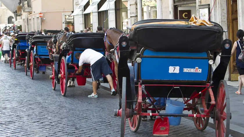 Queue of horse carts in Piazza di Spagna in Rome, 30 July 2012. Fila di ''botticelle '' a piazza di Spagna, Roma, 30 luglio 2012 ANSA/MASSIMO PERCOSSI